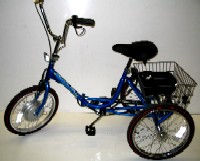PTelectric-200.JPG