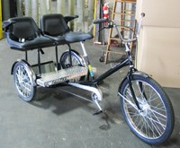 Worksman Family Dual Chariot