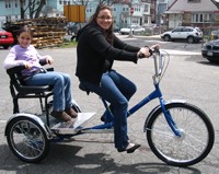 Worksman Family Single Chariot