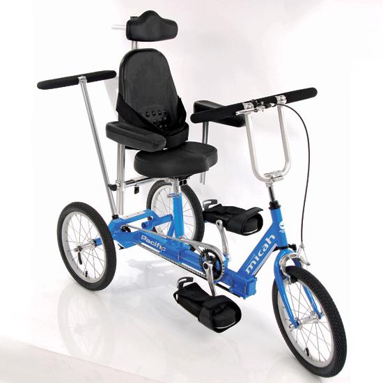 large tricycle special needs
