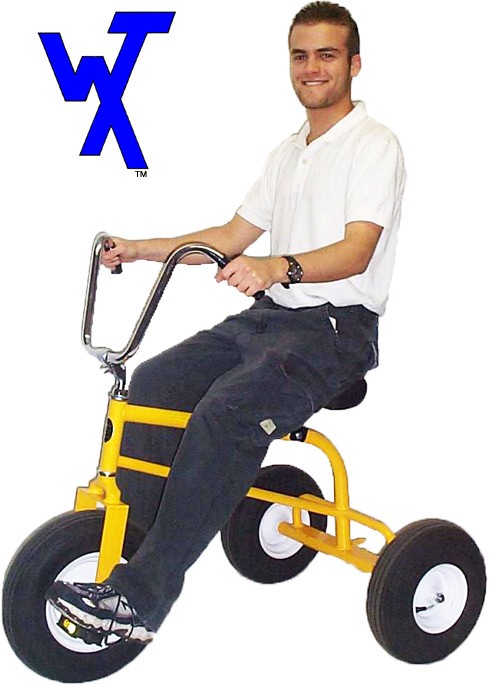 used special needs tricycle